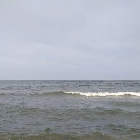 בית הארחה Casa Din קורבו